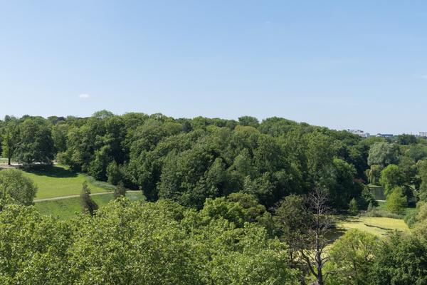 Penthouse Le Chien Vert